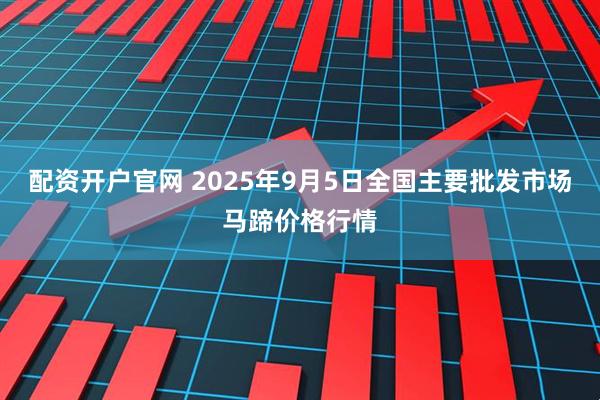 配资开户官网 2025年9月5日全国主要批发市场马蹄价格行情