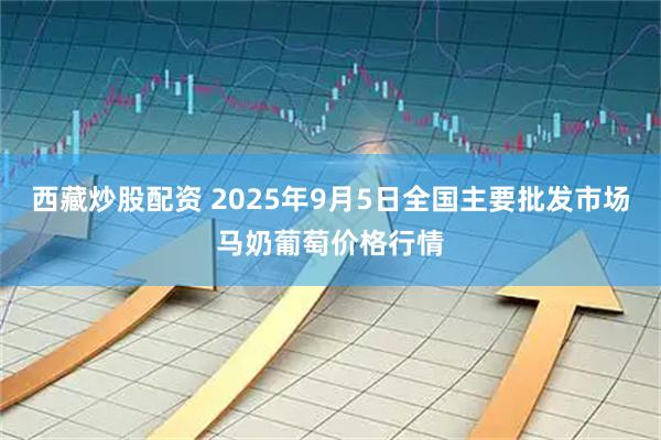 西藏炒股配资 2025年9月5日全国主要批发市场马奶葡萄价格行情
