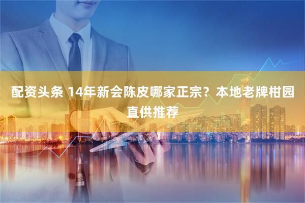 配资头条 14年新会陈皮哪家正宗?本地老牌柑园直供推荐