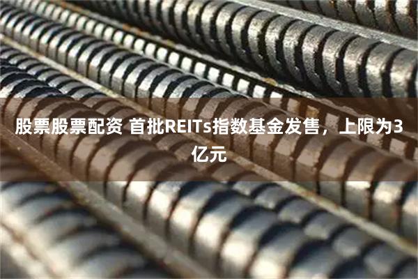股票股票配资 首批REITs指数基金发售，上限为3亿元